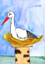 Macharová Timea.jpg